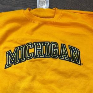 Champion yellow michigan state crewneck 💛